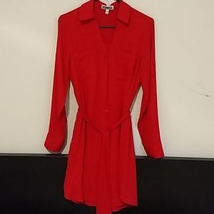 Express Shirt dress